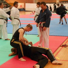 Lim Kenpo Seminar, Portugal