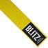  Yellow Belt (8th KYU)